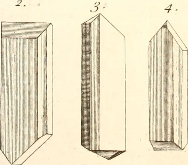 An illustration from The microscope made easy : or, I. The nature, uses, and magnifying powers of the best kinds of microscopes described, calculated, and explained ... II. An account of what surprizing discoveries have been already made by the microscope: with useful reflections on them .., 1742, leaf 314