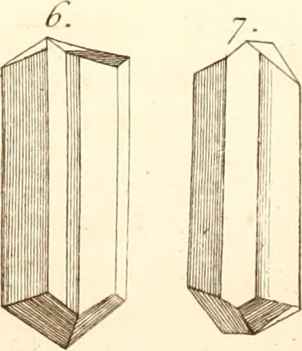 An illustration from The microscope made easy : or, I. The nature, uses, and magnifying powers of the best kinds of microscopes described, calculated, and explained ... II. An account of what surprizing discoveries have been already made by the microscope: with useful reflections on them .., 1742, leaf 314