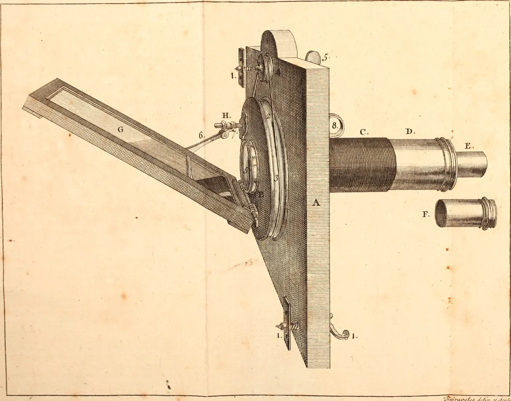 An illustration from The microscope made easy : or, I. The nature, uses, and magnifying powers of the best kinds of microscopes described, calculated, and explained ... II. An account of what surprizing discoveries have been already made by the microscope: with useful reflections on them .., 1742, leaf 384