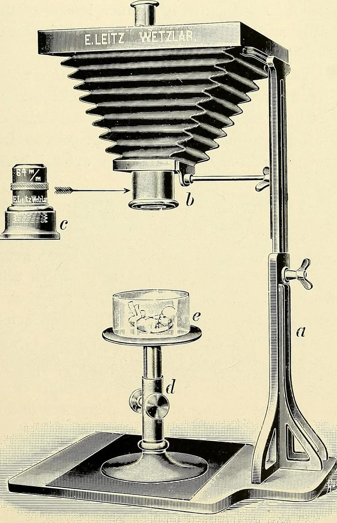 An illustration from Microscopes and accessory apparatus, 1899, leaf 82