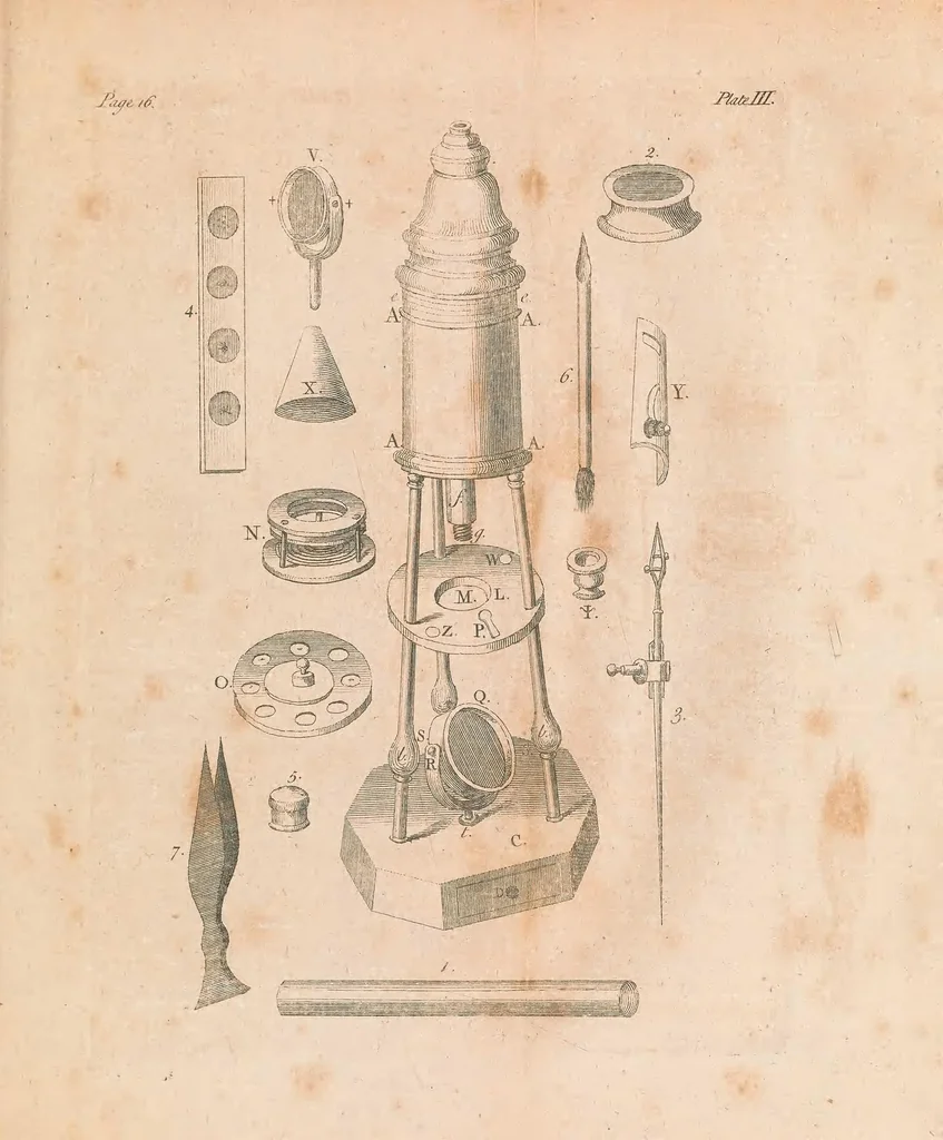 An illustration from Of microscopes and the discoveries made thereby : illustrated with many copper-plates, 1785, leaf 51