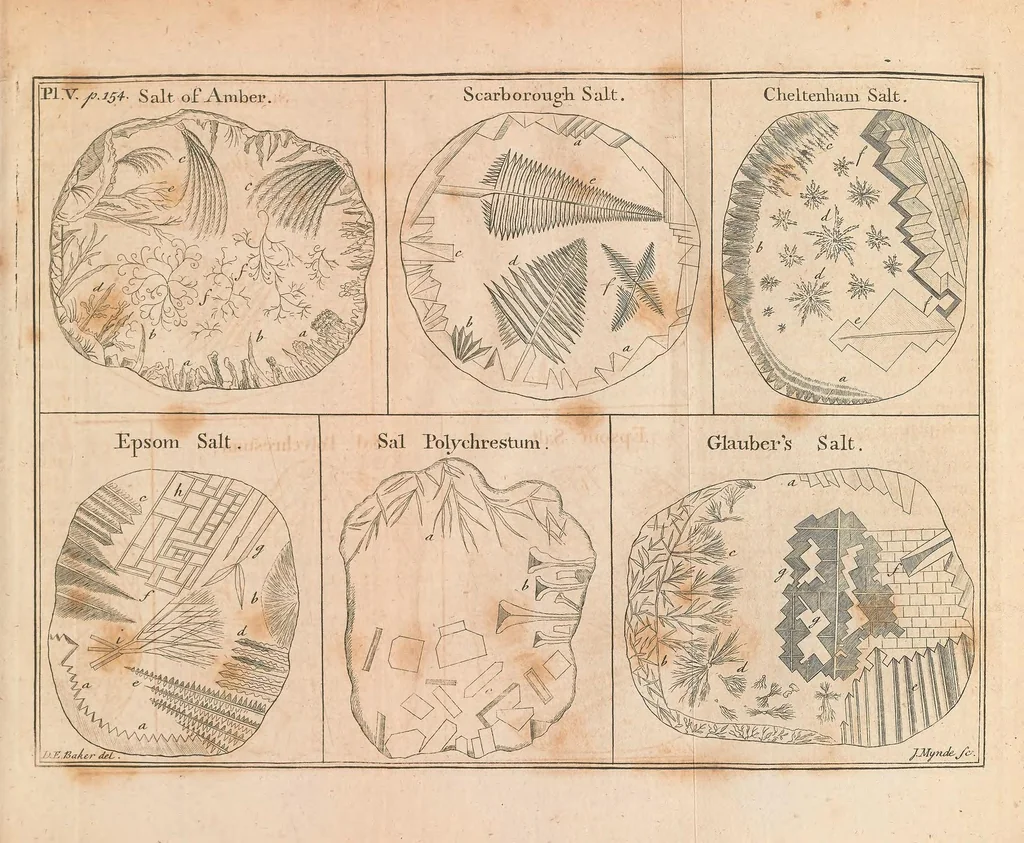 An illustration from Of microscopes and the discoveries made thereby : illustrated with many copper-plates, 1785, leaf 189