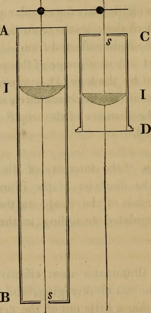 An illustration from The microscopic cabinet of select animated objects : with a description of the jewel and doublet microscope, test objects, &c. to which are subjoined, memoirs on the verification of microscopic phenomena, and an exact method of appreciating the quality of microscopes and engiscopes by C.R. Goring, 1832, leaf 177