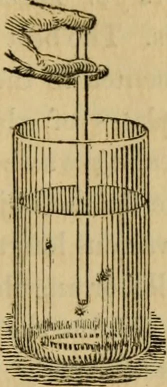 An illustration from The microscopic cabinet of select animated objects : with a description of the jewel and doublet microscope, test objects, &c. to which are subjoined, memoirs on the verification of microscopic phenomena, and an exact method of appreciating the quality of microscopes and engiscopes by C.R. Goring, 1832, leaf 244
