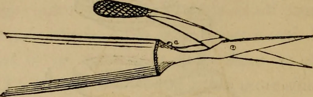 An illustration from The microscopic cabinet of select animated objects : with a description of the jewel and doublet microscope, test objects, &c. to which are subjoined, memoirs on the verification of microscopic phenomena, and an exact method of appreciating the quality of microscopes and engiscopes by C.R. Goring, 1832, leaf 251