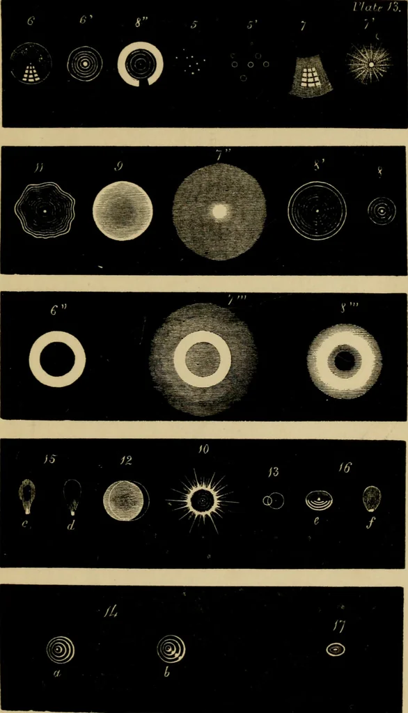 An illustration from The microscopic cabinet of select animated objects : with a description of the jewel and doublet microscope, test objects, &c. to which are subjoined, memoirs on the verification of microscopic phenomena, and an exact method of appreciating the quality of microscopes and engiscopes by C.R. Goring, 1832, leaf 280
