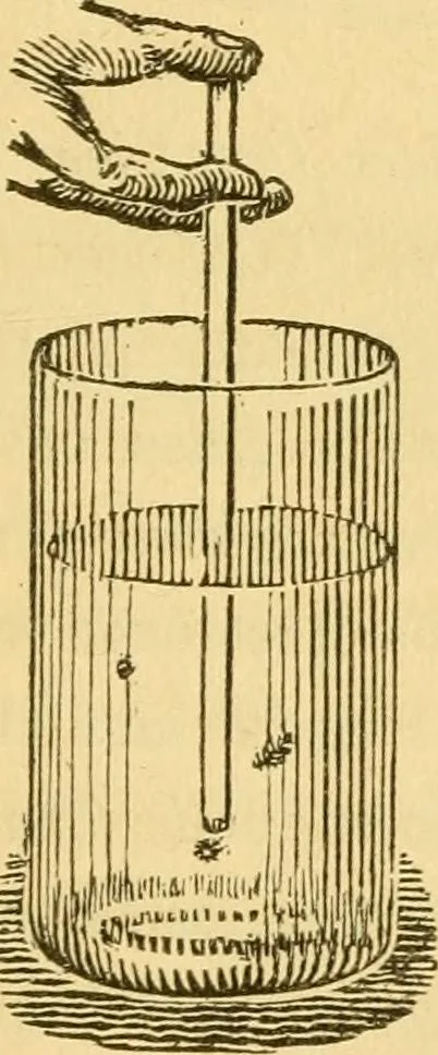 An illustration from Microscopic objects, animal, vegetable and mineral; with instructions for preparing and viewing them, 1847, leaf 196