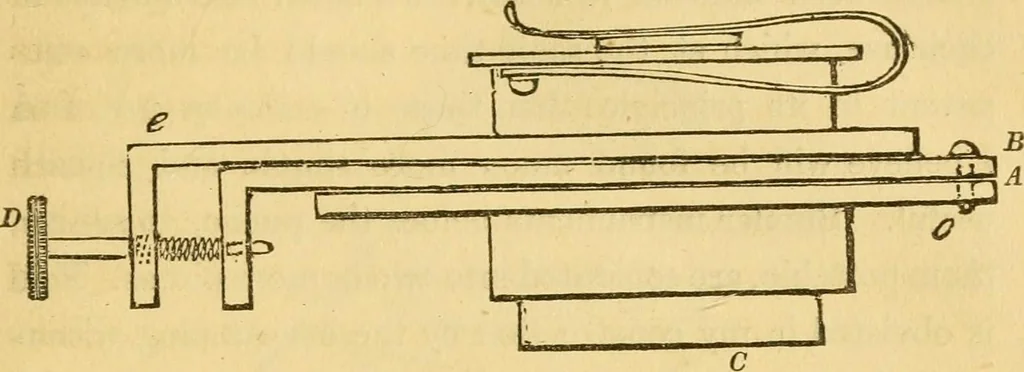 An illustration from Microscopic objects, animal, vegetable and mineral; with instructions for preparing and viewing them, 1847, leaf 202