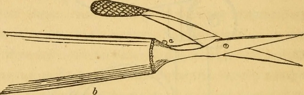 An illustration from Microscopic objects, animal, vegetable and mineral; with instructions for preparing and viewing them, 1847, leaf 205