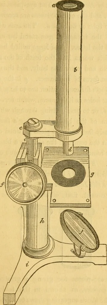 An illustration from Microscopic objects, animal, vegetable and mineral; with instructions for preparing and viewing them, 1847, leaf 210