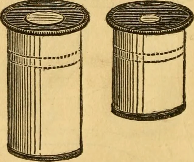 An illustration from Microscopic objects, animal, vegetable and mineral; with instructions for preparing and viewing them, 1847, leaf 211