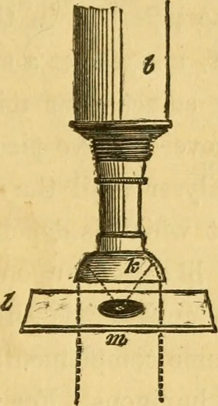 An illustration from Microscopic objects, animal, vegetable and mineral; with instructions for preparing and viewing them, 1847, leaf 212