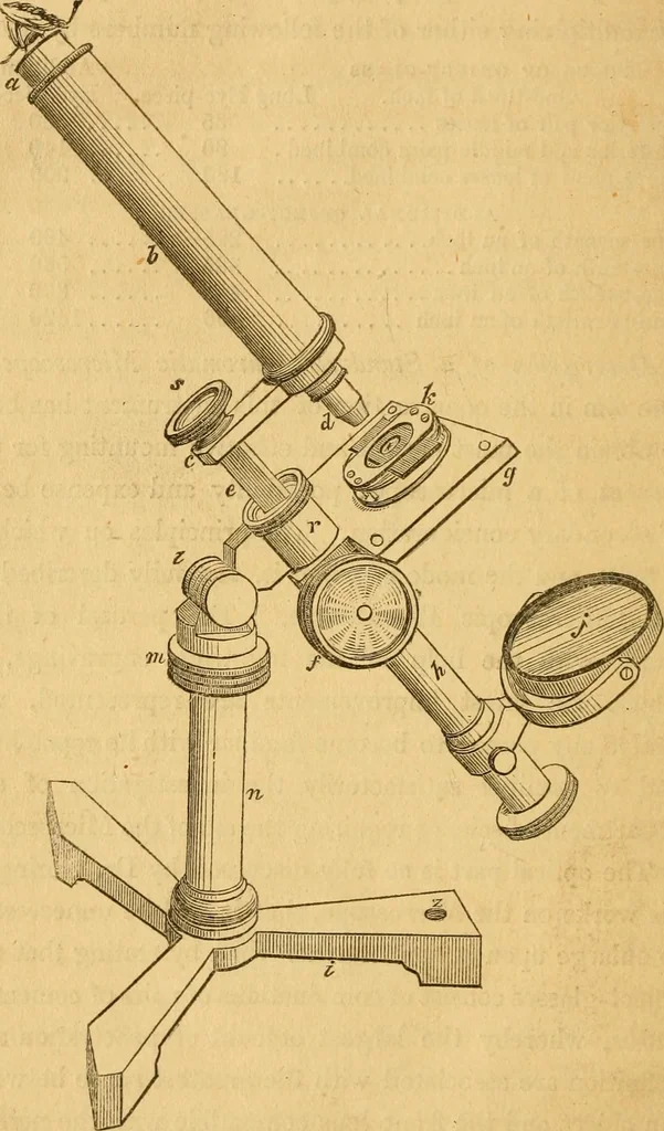 An illustration from Microscopic objects, animal, vegetable and mineral; with instructions for preparing and viewing them, 1847, leaf 215