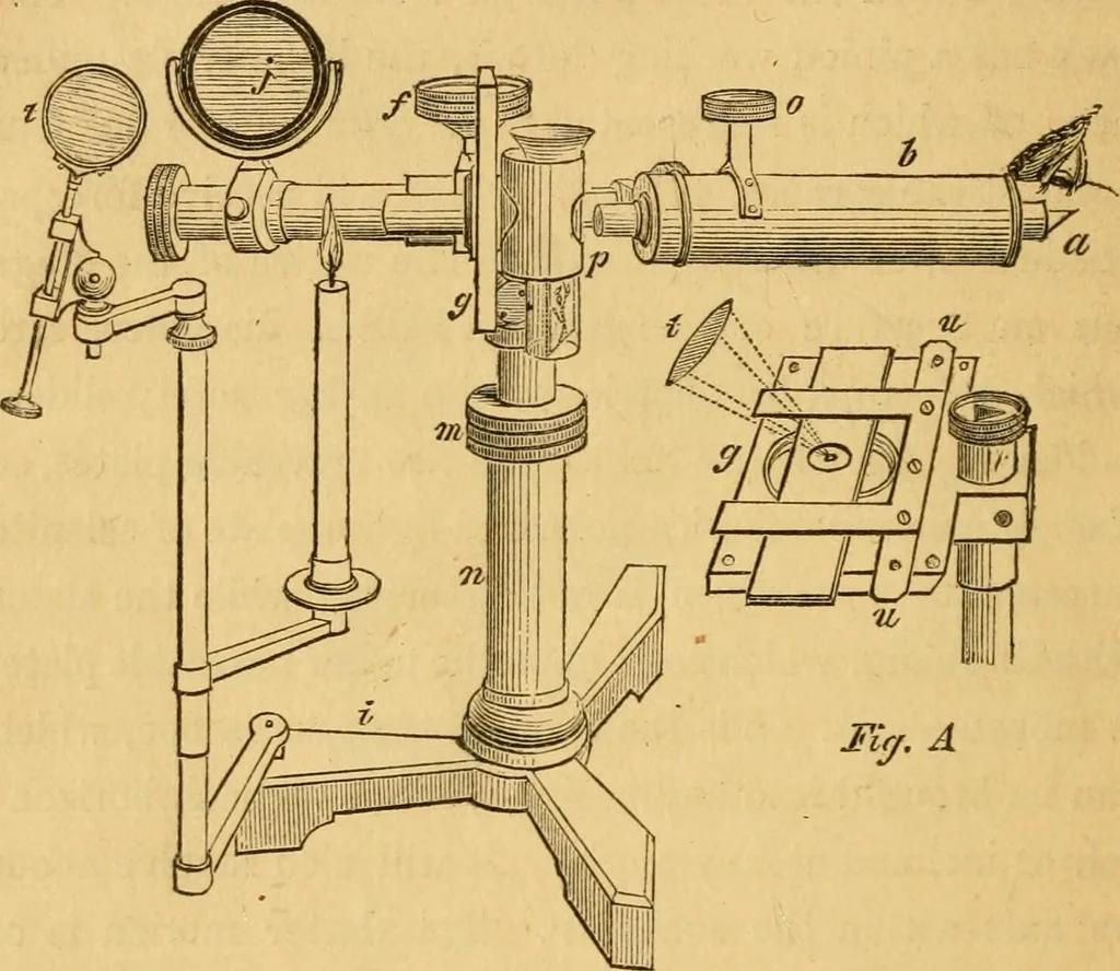 An illustration from Microscopic objects, animal, vegetable and mineral; with instructions for preparing and viewing them, 1847, leaf 217