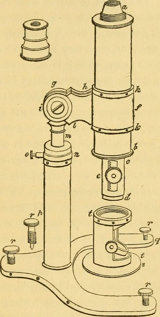 An illustration from Microscopic objects, animal, vegetable and mineral; with instructions for preparing and viewing them, 1847, leaf 230