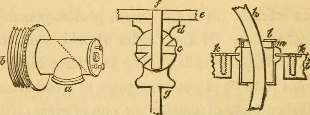 An illustration from Microscopic objects, animal, vegetable and mineral; with instructions for preparing and viewing them, 1847, leaf 237