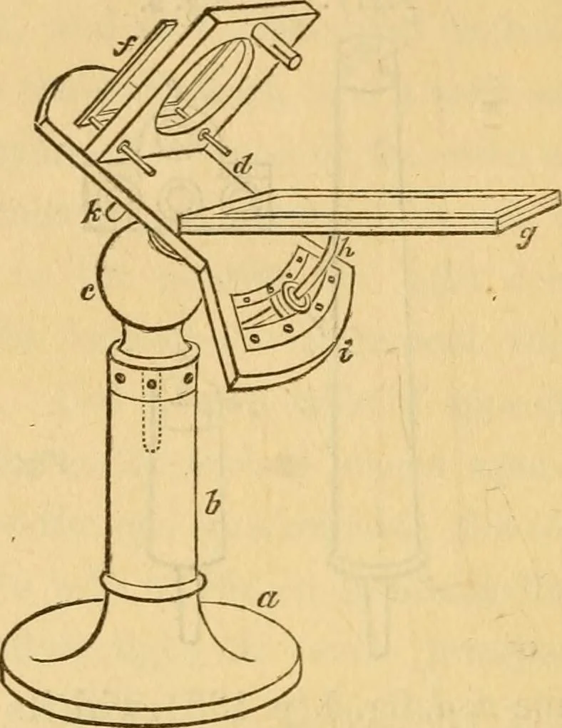 An illustration from Microscopic objects, animal, vegetable and mineral; with instructions for preparing and viewing them, 1847, leaf 239