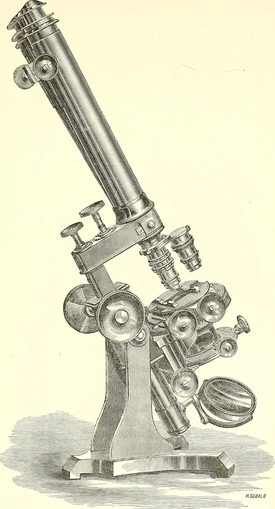An illustration from The microscopist : a manual of microscopy and compendium of the microscopic science : micro-minerology, micro-chemistry, biology, histology, and pathological histology, 1877, leaf 30
