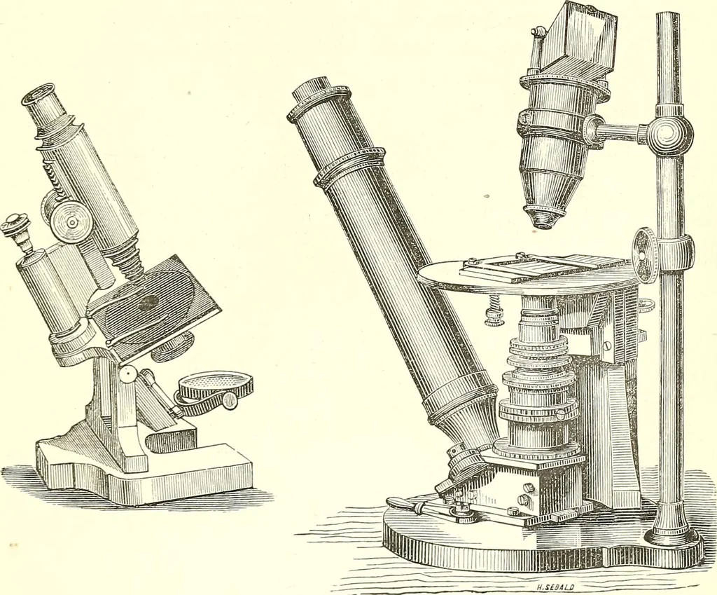An illustration from The microscopist : a manual of microscopy and compendium of the microscopic science : micro-minerology, micro-chemistry, biology, histology, and pathological histology, 1877, leaf 32
