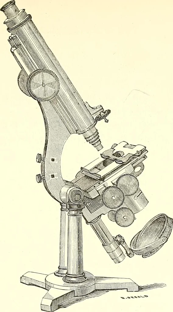 An illustration from The microscopist : a manual of microscopy and compendium of the microscopic science : micro-minerology, micro-chemistry, biology, histology, and pathological histology, 1877, leaf 32