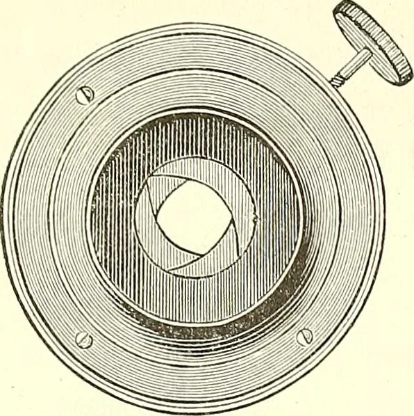 An illustration from The microscopist : a manual of microscopy and compendium of the microscopic science : micro-minerology, micro-chemistry, biology, histology, and pathological histology, 1877, leaf 34