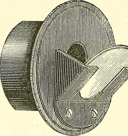 An illustration from The microscopist : a manual of microscopy and compendium of the microscopic science : micro-minerology, micro-chemistry, biology, histology, and pathological histology, 1877, leaf 41