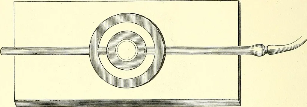 An illustration from The microscopist : a manual of microscopy and compendium of the microscopic science : micro-minerology, micro-chemistry, biology, histology, and pathological histology, 1877, leaf 43