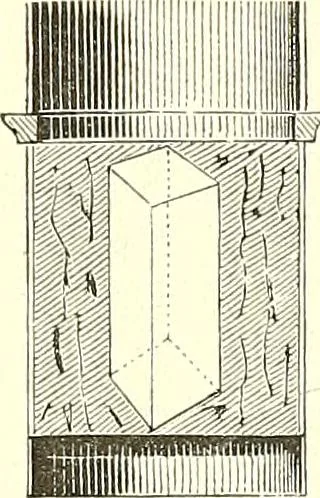 An illustration from The microscopist : a manual of microscopy and compendium of the microscopic science : micro-minerology, micro-chemistry, biology, histology, and pathological histology, 1877, leaf 44