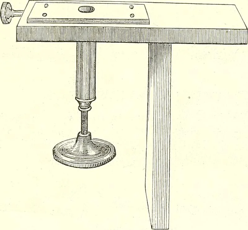 An illustration from The microscopist : a manual of microscopy and compendium of the microscopic science : micro-minerology, micro-chemistry, biology, histology, and pathological histology, 1877, leaf 66