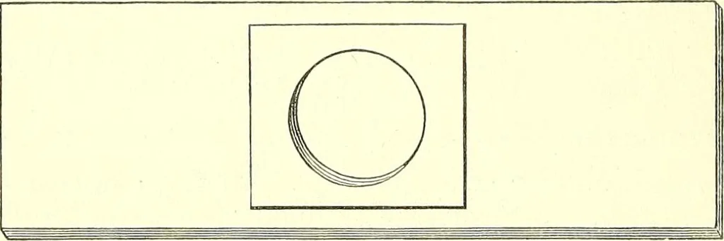 An illustration from The microscopist : a manual of microscopy and compendium of the microscopic science : micro-minerology, micro-chemistry, biology, histology, and pathological histology, 1877, leaf 81