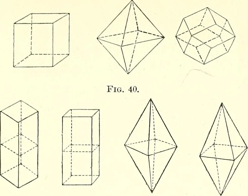 An illustration from The microscopist : a manual of microscopy and compendium of the microscopic science : micro-minerology, micro-chemistry, biology, histology, and pathological histology, 1877, leaf 90