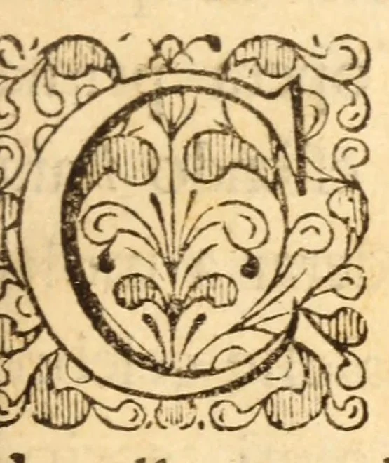An illustration from I Sacri Salmi di David : messi in rime volgari italiane, 1664, leaf 11