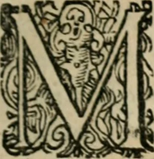 An illustration from [Mikrokosmos] : Paruus mundus, 1644, leaf 10