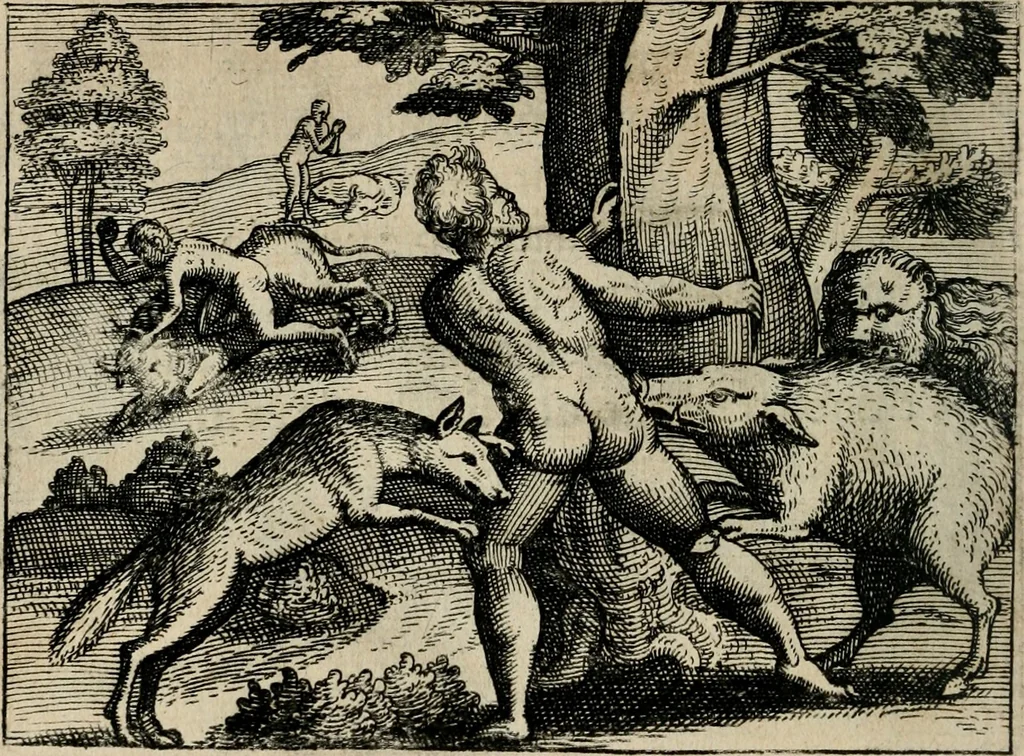 An illustration from [Mikrokosmos] : Paruus mundus, 1644, leaf 133