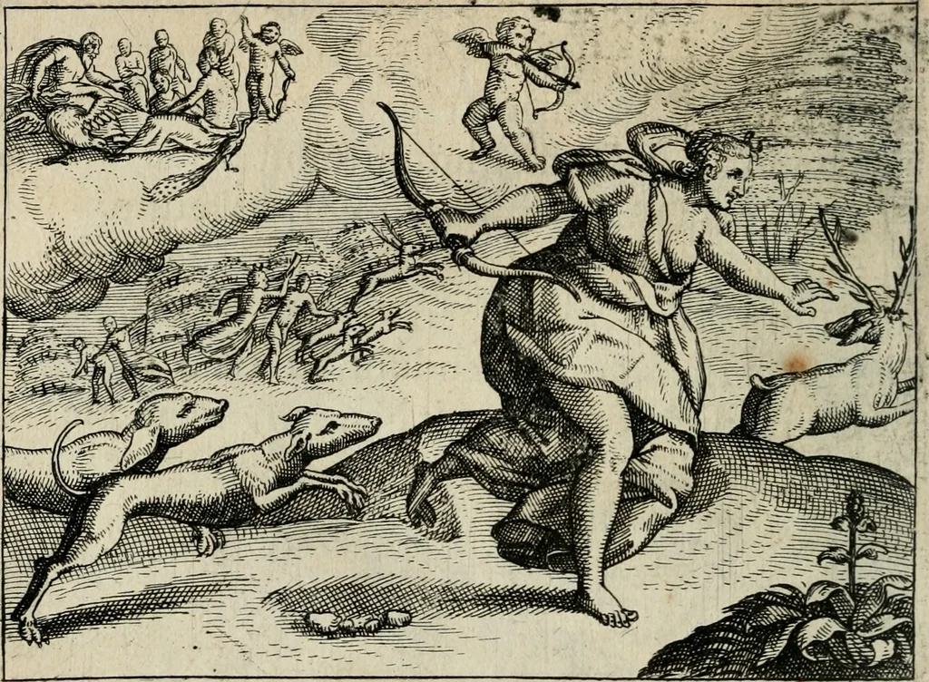 An illustration from [Mikrokosmos] : Paruus mundus, 1644, leaf 35