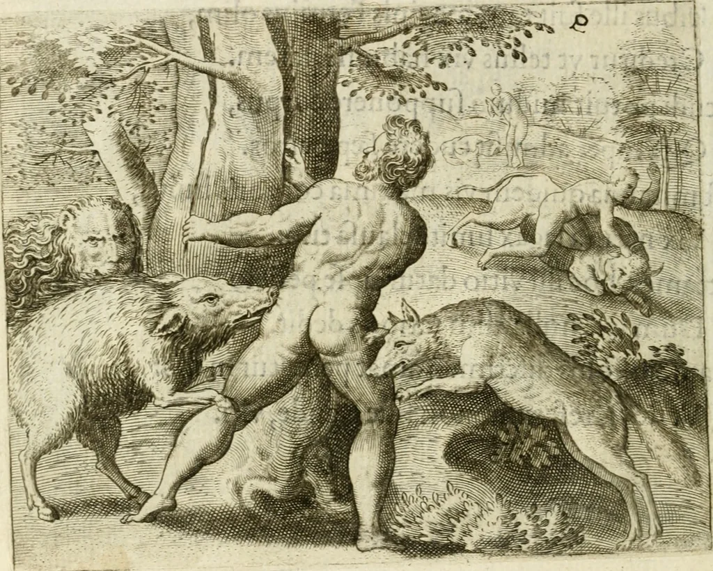 An illustration from Mikrokosmos = Parvvs mvndvs, 1579, leaf 135