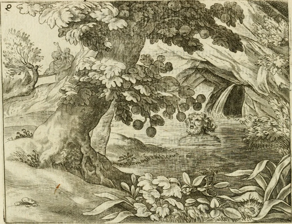 An illustration from Mikrokosmos = Parvvs mvndvs, 1579, leaf 137