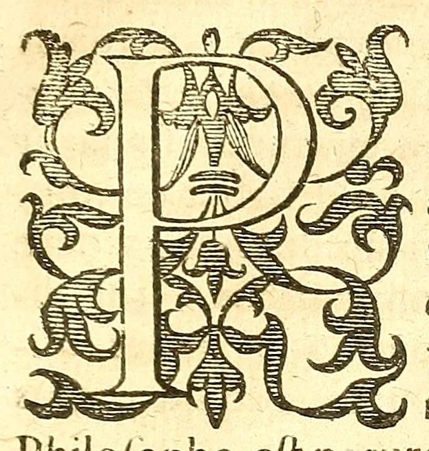 An illustration from Mikrokosmos sive Humani corporis fabrica ex sacris DD. & physicis summatim exhibita in annua congregatione V. pastorum regul. coenobij Tungerloensis, 1626, leaf 11