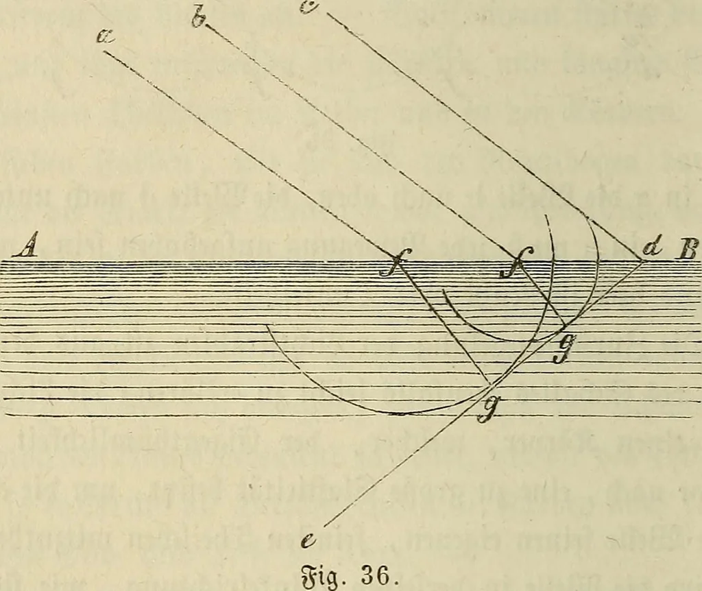 An illustration from Mikroskopische Bilder : Naturansichten aus dem kleinsten Raume ; ein Gemälde des Mikrokosmus in seinen Gestalten und Gesetzen, 1853, leaf 101
