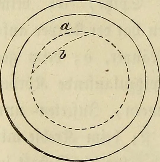 An illustration from Mikroskopische Bilder : Naturansichten aus dem kleinsten Raume ; ein Gemälde des Mikrokosmus in seinen Gestalten und Gesetzen, 1853, leaf 175
