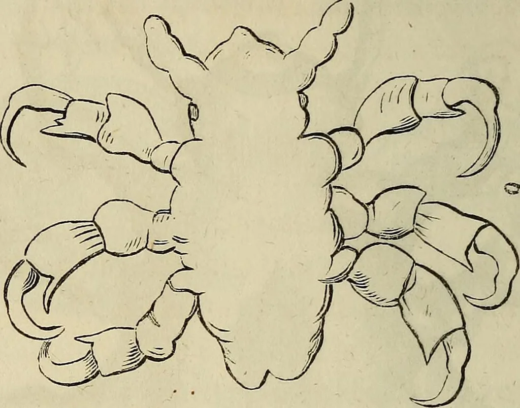 An illustration from Mikroskopische Bilder : Naturansichten aus dem kleinsten Raume ; ein Gemälde des Mikrokosmus in seinen Gestalten und Gesetzen, 1853, leaf 363