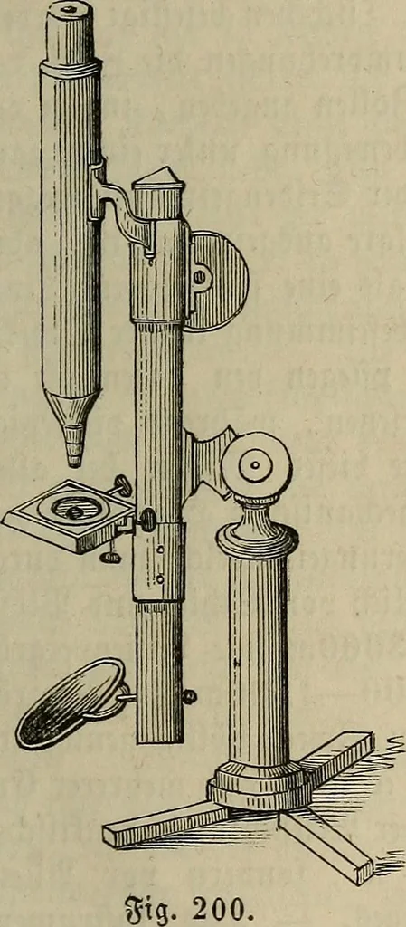 An illustration from Mikroskopische Bilder : Naturansichten aus dem kleinsten Raume ; ein Gemälde des Mikrokosmus in seinen Gestalten und Gesetzen, 1853, leaf 446