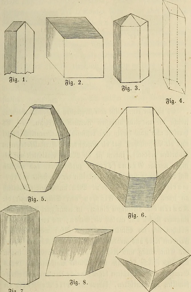An illustration from Mikroskopische Bilder : Naturansichten aus dem kleinsten Raume ; ein Gemälde des Mikrokosmus in seinen Gestalten und Gesetzen, 1853, leaf 72