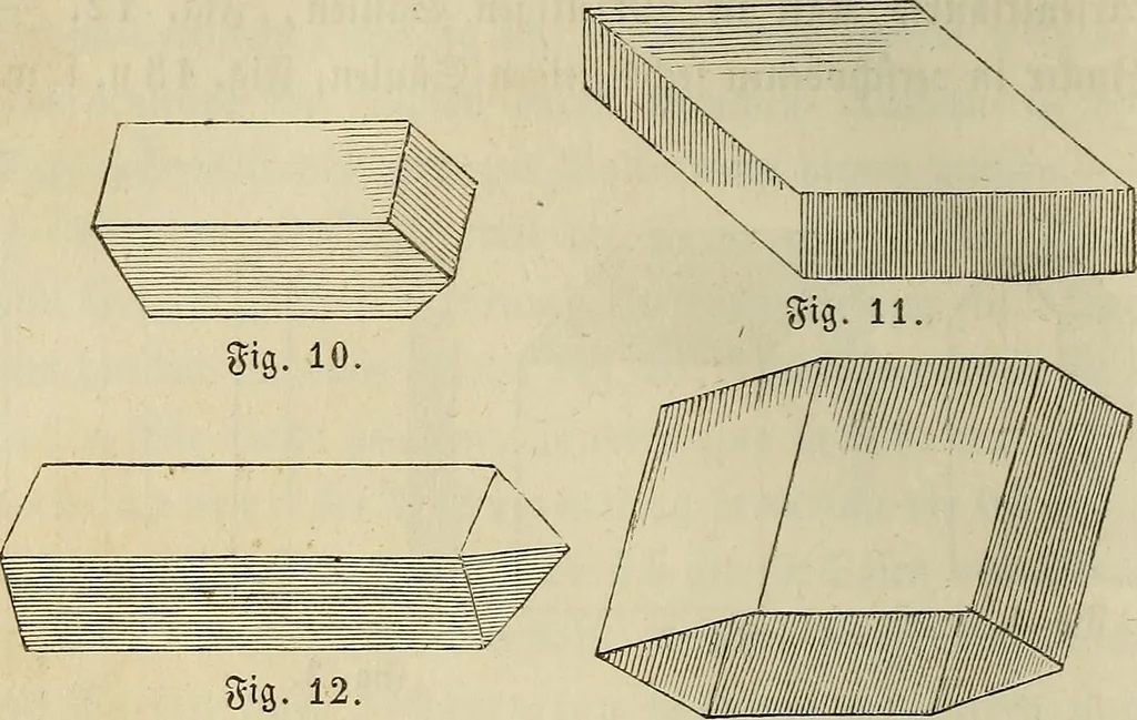 An illustration from Mikroskopische Bilder : Naturansichten aus dem kleinsten Raume ; ein Gemälde des Mikrokosmus in seinen Gestalten und Gesetzen, 1853, leaf 73