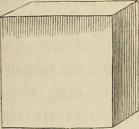 An illustration from Mikroskopische Bilder : Naturansichten aus dem kleinsten Raume ; ein Gemälde des Mikrokosmus in seinen Gestalten und Gesetzen, 1853, leaf 76