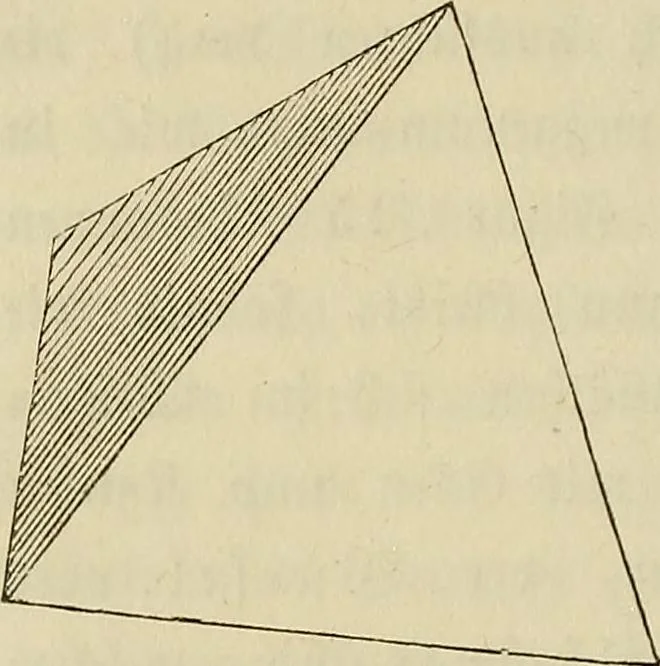 An illustration from Mikroskopische Bilder : Naturansichten aus dem kleinsten Raume ; ein Gemälde des Mikrokosmus in seinen Gestalten und Gesetzen, 1853, leaf 77