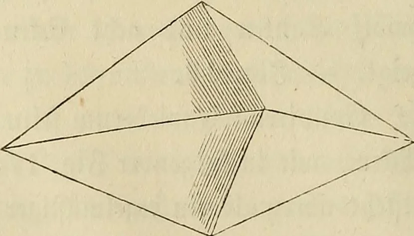 An illustration from Mikroskopische Bilder : Naturansichten aus dem kleinsten Raume ; ein Gemälde des Mikrokosmus in seinen Gestalten und Gesetzen, 1853, leaf 77
