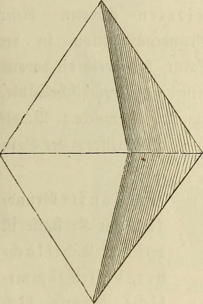 An illustration from Mikroskopische Bilder : Naturansichten aus dem kleinsten Raume ; ein Gemälde des Mikrokosmus in seinen Gestalten und Gesetzen, 1853, leaf 78