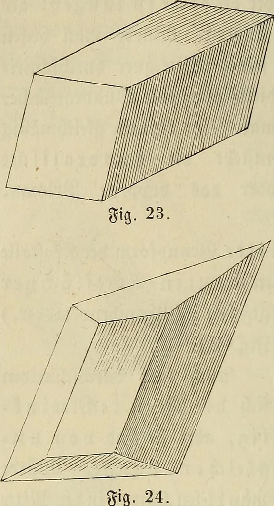 An illustration from Mikroskopische Bilder : Naturansichten aus dem kleinsten Raume ; ein Gemälde des Mikrokosmus in seinen Gestalten und Gesetzen, 1853, leaf 79