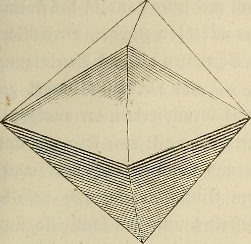 An illustration from Mikroskopische Bilder : Naturansichten aus dem kleinsten Raume ; ein Gemälde des Mikrokosmus in seinen Gestalten und Gesetzen, 1853, leaf 80